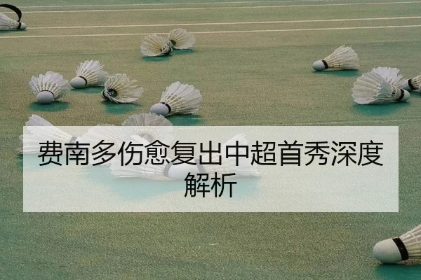 费南多伤愈复出中超首秀深度解析 | Yabo